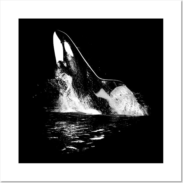 Leaping Orca Wall Art by Art by Aelia